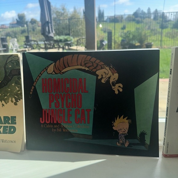 Calvin and Hobbes Comic Book Collection - Bill Watterson - Picture 8 of 11